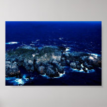 Glacous påskyndade fiskmåsar print