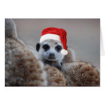 Glad Meerkat jul - säsonhälsningar 2 Kort