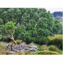 Glengesh passerar i Irland landskap Photo Sculptures