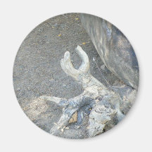 Gnarly Magnet För Kylskåp