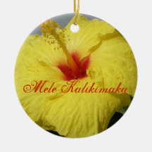 God jul i hawaiibo juldekoration