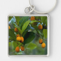 Goetzea Elegans frukt Nyckelring