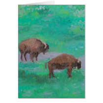 Golden Gate Parkbuffel