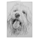 Goldendoodle Kort