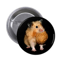 Goldhamster Buttons