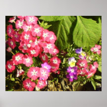 Goodmorning leende posters