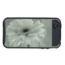 Göra grön det tonade fodral för iPhone 4 för daisy iPhone 4 Fodraler