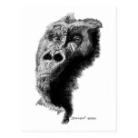 Gorilla Vykort