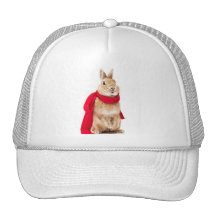 gorra de conejito superman