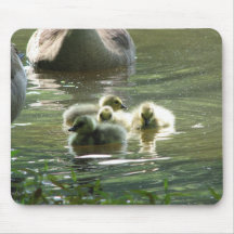 Goslings Mousepad Mus Mattor