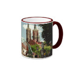 Gotisk domkyrka i den Wroclaw muggen