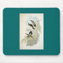 Gould - grabb enslingHummingbird Musmattor