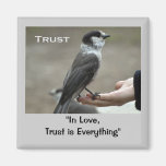 Grå färgJay Motivational magneter