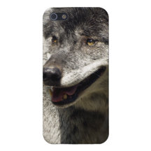Grå färgvarg, vilddjur, hund iPhone 5 skal