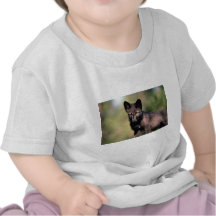 Grå Varg-sommar (svart-arrangera gradvis), unge T-shirts