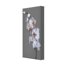 Gråa Orchids slogg in kanfas Kanvasdukar Med Gallerikvalitet