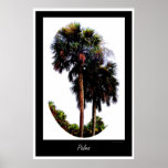 Grafiska palmträd affischer