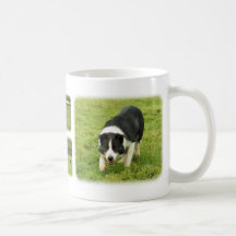 Gränsa collien 8M054D-05, gränscollien 8M052D-0… Kaffe Kopp
