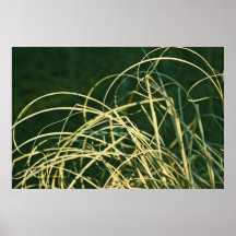 Gras Posters