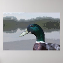 Gräsandgrafikaffisch