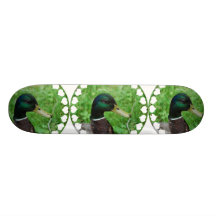 GräsandSkateboard
