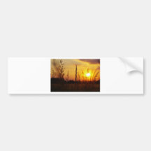Gräser im Sonnenuntergang Autoaufkleber