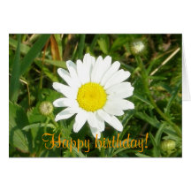 Grattis på födelsedagen! Daisykort