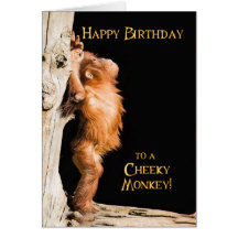 Grattis på födelsedagen från en utan bebisorang hälsningskort