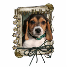 Grattis på födelsedagen - stentassar - Beaglevalp Photo Sculpture