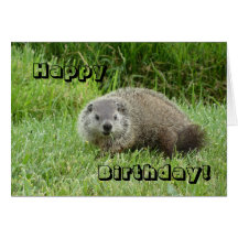Grattis på födelsedagengroundhog hälsnings kort