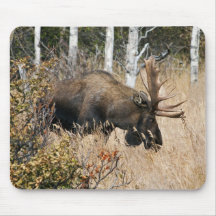 Grazing Moose Mousepad