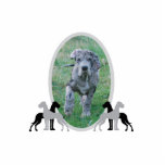 Great Dane Frame Photo Figur
