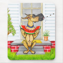 Great dane SPOTTAR lismar Mus Matta