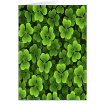 Green Shamrock Plant Pattern Card