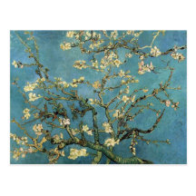 Grenar med mandelblommar av Vincent Van Gogh Vykort