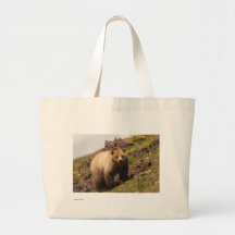 Grizzlybjörn Tygkasse