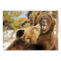 Grizzlykyss Hälsnings Kort