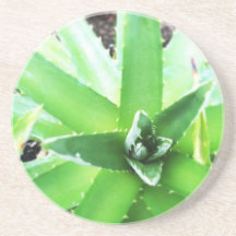 Grön Aloe Glasunderlägg