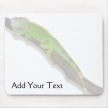 Grön leguan på vit Mousepad Mus Matta