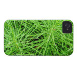 Gröna gräsfyrverkerier; Ingen text iPhone 4 Case-Mate Skydd