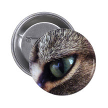 Grönögd grå tabby kattöganärbild pins