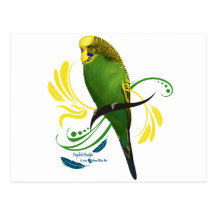 Grönt engelska Budgie Vykort