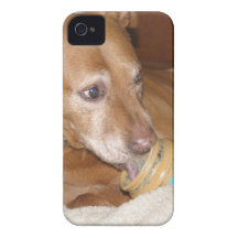 groptjuren älskar jordnötbutterpeanut iPhone 4 case
