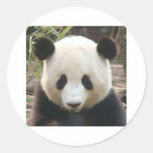 Grubbla pandaen klistermärken