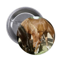 Grupp av hästar pins