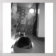Guden välsignar min katt print
