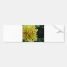 gul blomma 2 bildekal