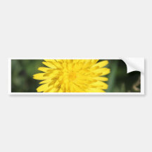 Gul blomma bildekal