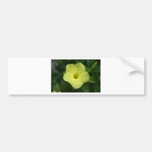 Gul blomma bildekal
