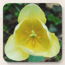 Gul blomma dryck underlägg